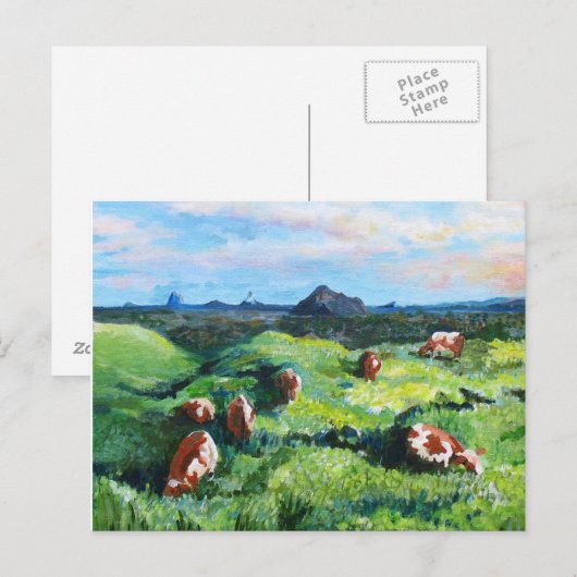 Maleny koeien briefkaart (Voorkant / Achterkant)