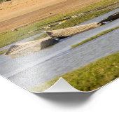 Mali, Djenne. Bani rivier bij Djenne Foto Afdruk (Hoek)