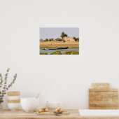 Mali, Djenne. Bani rivier bij Djenne Poster (Keuken)