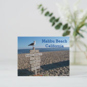 Malibu Beach Briefkaart - Paradise Cove Seagull Si (Staand voorkant)