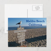 Malibu Beach Briefkaart - Paradise Cove Seagull Si (Voorkant / Achterkant)
