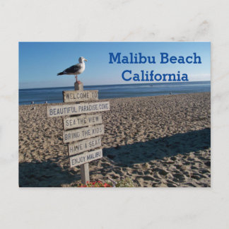 Malibu Beach Briefkaart - Paradise Cove Seagull Si