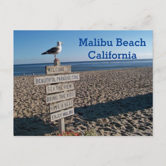 Malibu Beach Briefkaart - Paradise Cove Seagull Si (Voorkant)