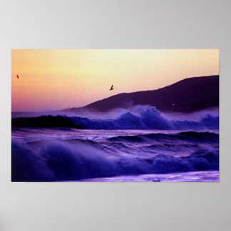 Malibu Beach Poster