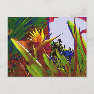 Malibu California Bird-of-paradise Feestdagenkaart
