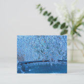 Malibu Icicles Briefkaart (Staand voorkant)