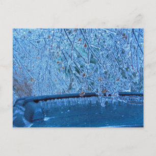 Malibu Icicles Briefkaart