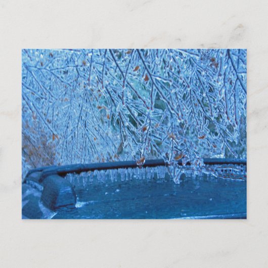 Malibu Icicles Briefkaart (Voorkant)