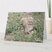 Malice is een mooie Kaart (Voorkant)