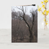 Malificent Tree Kaart (Gele Bloem)