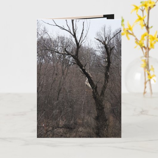 Malificent Tree Kaart (Gele Bloem)