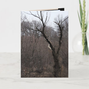 Malificent Tree Kaart