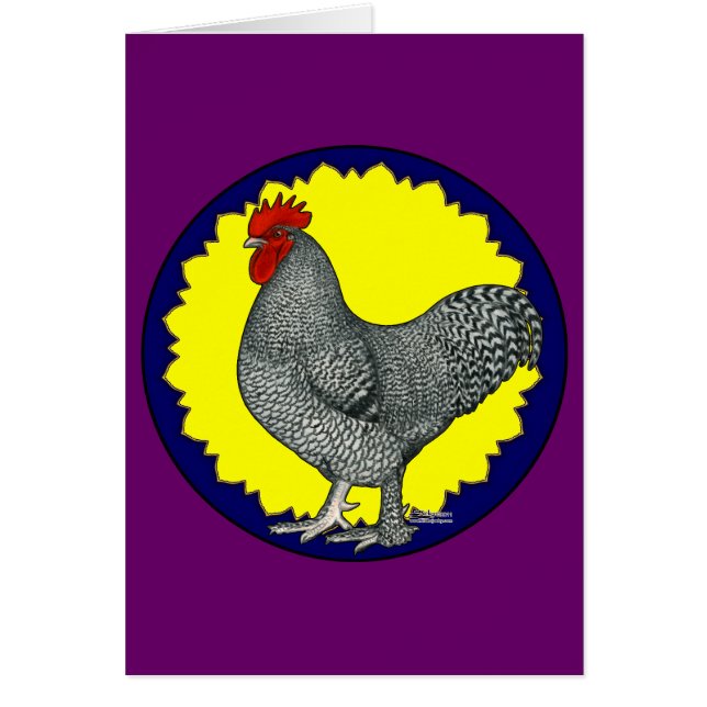Maline Rooster (Voorkant)
