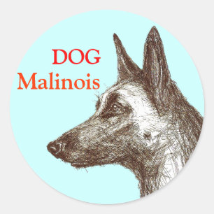 Malinees ontwerp ronde sticker
