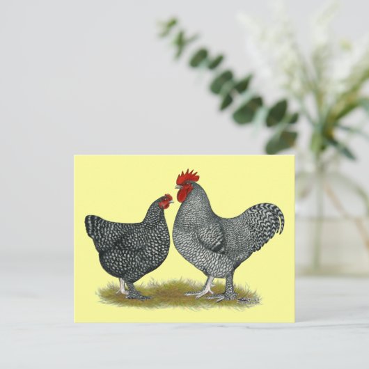 Malinekippen Briefkaart (Staand voorkant)