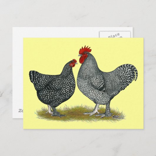 Malinekippen Briefkaart (Voorkant / Achterkant)