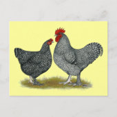 Malinekippen Briefkaart (Voorkant)