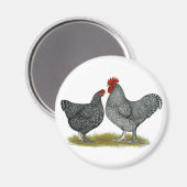 Malinekippen Magneet (Voorkant / Achterkant)