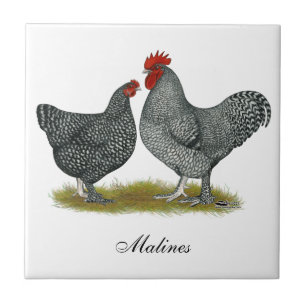 Malinekippen Tegeltje