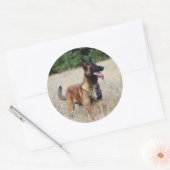 malinoi ronde sticker (Envelop)