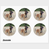 malinoi ronde sticker (Vel)