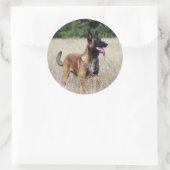 malinoi ronde sticker (Tas)