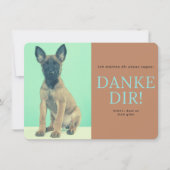 Malinois bedankkaart (Voorkant)