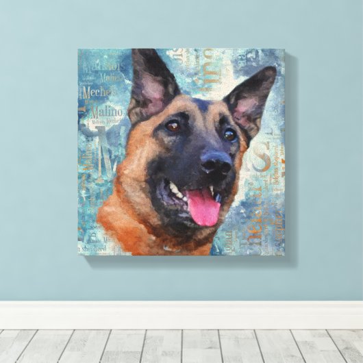 Malinois - Belgische herder - Mechelaar Canvas Afdruk (Insitu (Houten vloer))