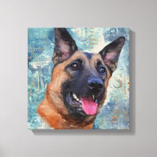Malinois - Belgische herder - Mechelaar Canvas Afdruk