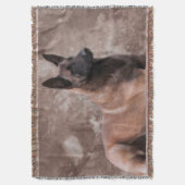 Malinois Belgische herder - Mechelaar Deken (Voorkant Verticaal)