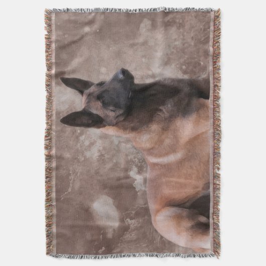 Malinois Belgische herder - Mechelaar Deken (Voorkant Verticaal)