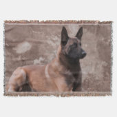 Malinois Belgische herder - Mechelaar Deken (Voorkant)