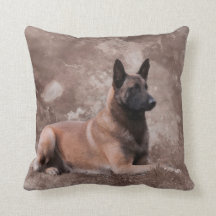 Malinois Belgische herder - Mechelaar