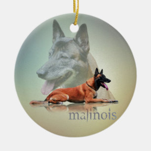 Malinois - Belgische herder - Mechelaar - Maligato Keramisch Ornament