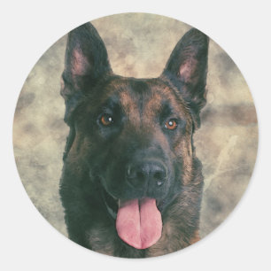 Malinois - Belgische herder - Mechelaar - Maligato Ronde Sticker