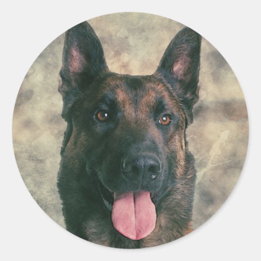 Malinois - Belgische herder - Mechelaar - Maligato Ronde Sticker (Voorkant)