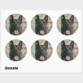 Malinois - Belgische herder - Mechelaar - Maligato Ronde Sticker (Vel)