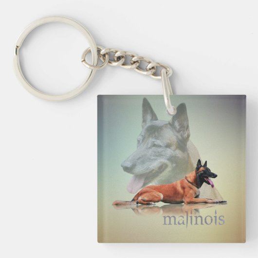 Malinois - Belgische herder - Mechelaar - Maligato Sleutelhanger (Voorkant)