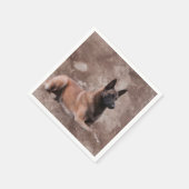 Malinois Belgische herder - Mechelaar Servet (Hoek)