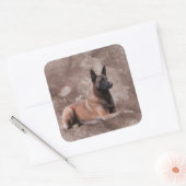 Malinois Belgische herder - Mechelaar Vierkante Sticker (Envelop)