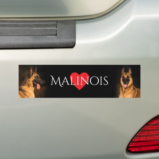 Malinois Bumpersticker (Op auto)