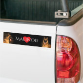 Malinois Bumpersticker (Op Truck)
