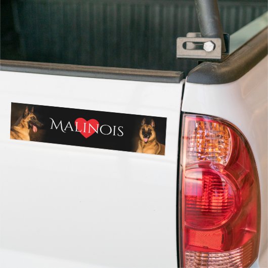 Malinois Bumpersticker (Op Truck)