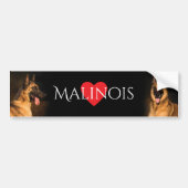 Malinois Bumpersticker (Voorkant)