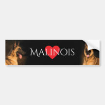 Malinois Bumpersticker