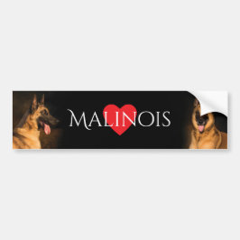 Malinois Bumpersticker