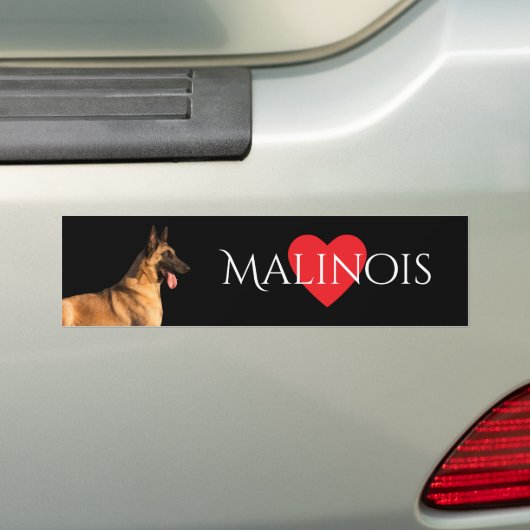 Malinois Dog Bumpersticker (Op auto)