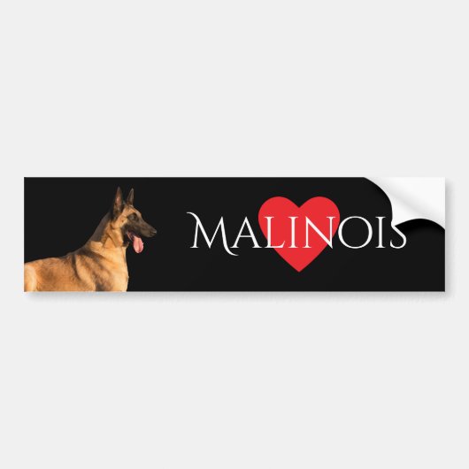 Malinois Dog Bumpersticker (Voorkant)