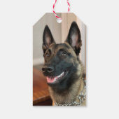 Malinois Dog Cadeaulabel (Achterkant)
