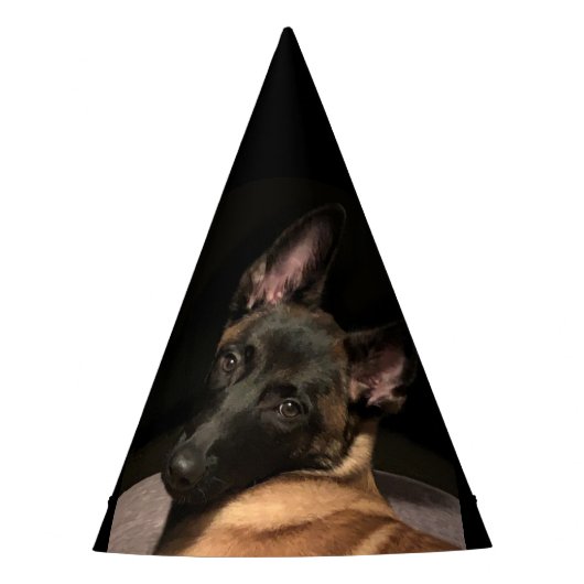 Malinois Dog Feesthoedjes (Voorkant)